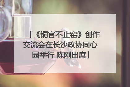 《铜官不止窑》创作交流会在长沙政协同心园举行 陈刚出席
