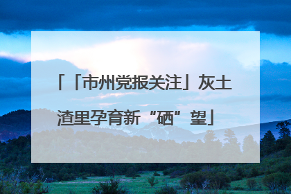 「市州党报关注」灰土渣里孕育新“硒”望
