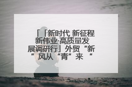 「新时代 新征程 新伟业·高质量发展调研行」外贸“新”风从“青”来 “双向奔赴”启新程