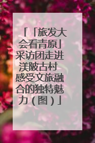「旅发大会看青原」采访团走进渼陂古村 感受文旅融合的独特魅力（图）