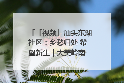 「视频」汕头东湖社区：乡愁归处 希望新生｜大美岭南·百村焕新记