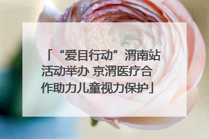 “爱目行动”渭南站活动举办 京渭医疗合作助力儿童视力保护