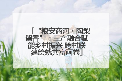 “粮安商河・陶梨留香”：三产融合赋能乡村振兴 跨村联建绘就共富画卷