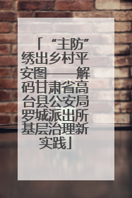 “主防”绣出乡村平安图——解码甘肃省高台县公安局罗城派出所基层治理新实践