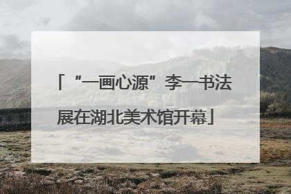 “一画心源”李一书法展在湖北美术馆开幕