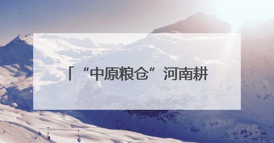 “中原粮仓”河南耕地面积实现四年连增