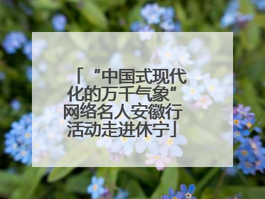 “中国式现代化的万千气象”网络名人安徽行活动走进休宁