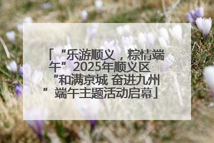 “乐游顺义，粽情端午”2025年顺义区“和满京城 奋进九州”端午主题活动启幕