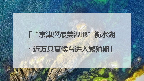 “京津冀最美湿地”衡水湖：近万只夏候鸟进入繁殖期