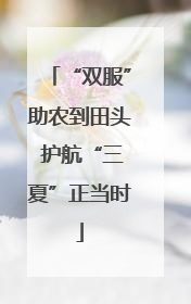 “双服”助农到田头 护航“三夏”正当时