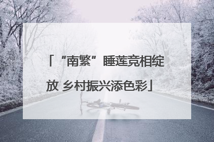 “南繁”睡莲竞相绽放 乡村振兴添色彩