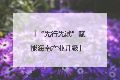 “先行先试”赋能海南产业升级