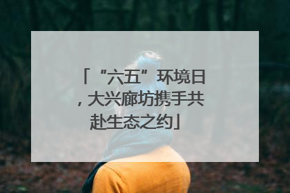 “六五”环境日，大兴廊坊携手共赴生态之约