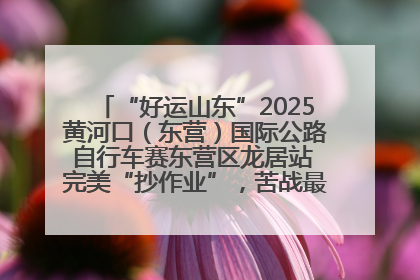 “好运山东”2025黄河口（东营）国际公路自行车赛东营区龙居站 完美“抄作业”，苦战最后时刻黄衫易主