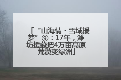“山海情・雪域援梦”⑨：17年，潍坊援藏把4万亩高原荒漠变绿洲
