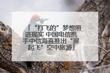 “打飞的”梦想照进现实 中国电信携手中信海直推出“翼起飞”空中旅游
