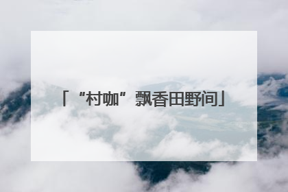 “村咖”飘香田野间