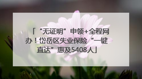“无证明”申领+全程网办！岱岳区失业保险“一键直达”惠及5408人