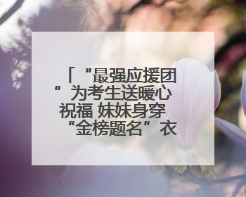 “最强应援团”为考生送暖心祝福 妹妹身穿“金榜题名”衣服为哥哥加油