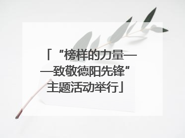 “榜样的力量——致敬德阳先锋”主题活动举行
