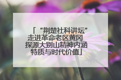 “荆楚社科讲坛”走进革命老区黄冈 探源大别山精神内涵特质与时代价值