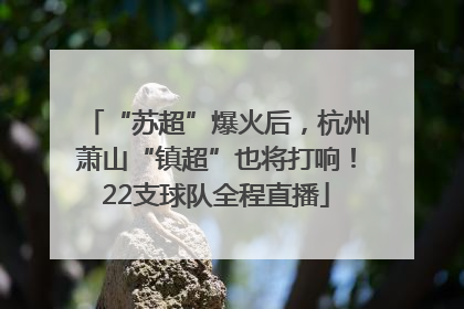 “苏超”爆火后，杭州萧山“镇超”也将打响！22支球队全程直播