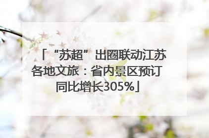 “苏超”出圈联动江苏各地文旅：省内景区预订同比增长305%