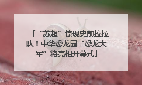 “苏超”惊现史前拉拉队！中华恐龙园“恐龙大军”将亮相开幕式