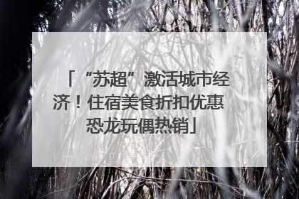 “苏超”激活城市经济！住宿美食折扣优惠 恐龙玩偶热销