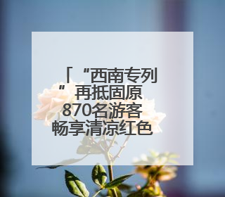 “西南专列”再抵固原 870名游客畅享清凉红色之旅