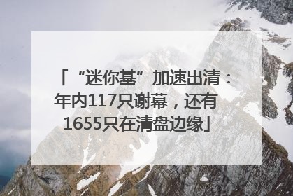 “迷你基”加速出清：年内117只谢幕，还有1655只在清盘边缘