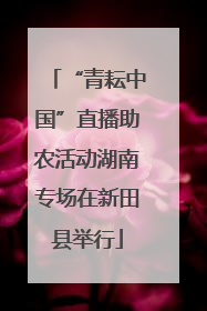 “青耘中国”直播助农活动湖南专场在新田县举行