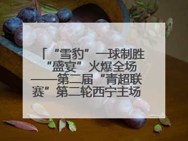 “雪豹”一球制胜 “盛宴”火爆全场——第二届“青超联赛”第二轮西宁主场比赛见闻