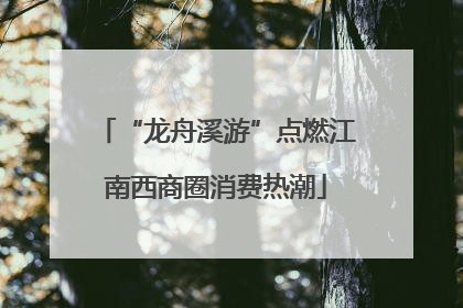 “龙舟溪游”点燃江南西商圈消费热潮