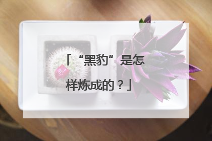 “黑豹”是怎样炼成的？