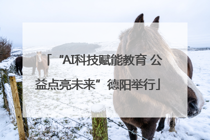 “AI科技赋能教育 公益点亮未来”德阳举行