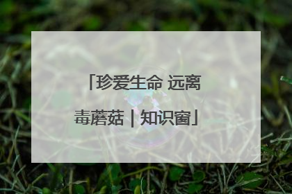 珍爱生命 远离毒蘑菇｜知识窗