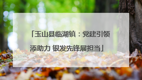 玉山县临湖镇：党建引领添助力 银发先锋展担当