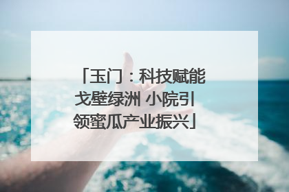 玉门：科技赋能戈壁绿洲 小院引领蜜瓜产业振兴
