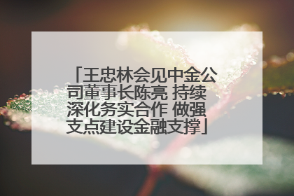 王忠林会见中金公司董事长陈亮 持续深化务实合作 做强支点建设金融支撑