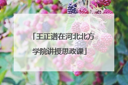 王正谱在河北北方学院讲授思政课