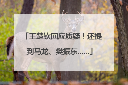 王楚钦回应质疑！还提到马龙、樊振东……