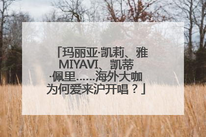 玛丽亚·凯莉、雅MIYAVI、凯蒂·佩里……海外大咖为何爱来沪开唱？