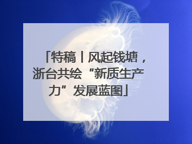 特稿丨风起钱塘，浙台共绘“新质生产力”发展蓝图