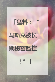 猛料：“马斯克被长期秘密监控！”