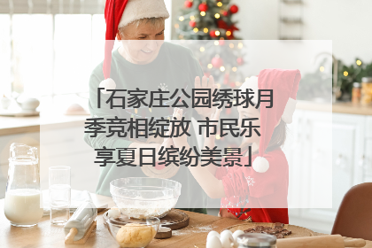 石家庄公园绣球月季竞相绽放 市民乐享夏日缤纷美景