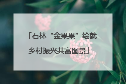 石林“金果果”绘就乡村振兴共富图景