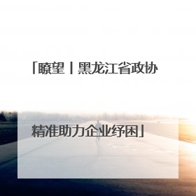 瞭望丨黑龙江省政协精准助力企业纾困