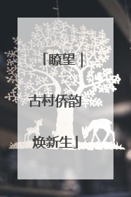 瞭望｜古村侨韵焕新生