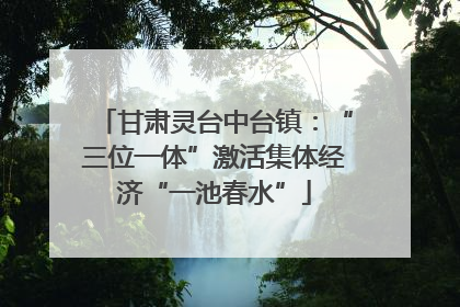 甘肃灵台中台镇：“三位一体”激活集体经济“一池春水”
